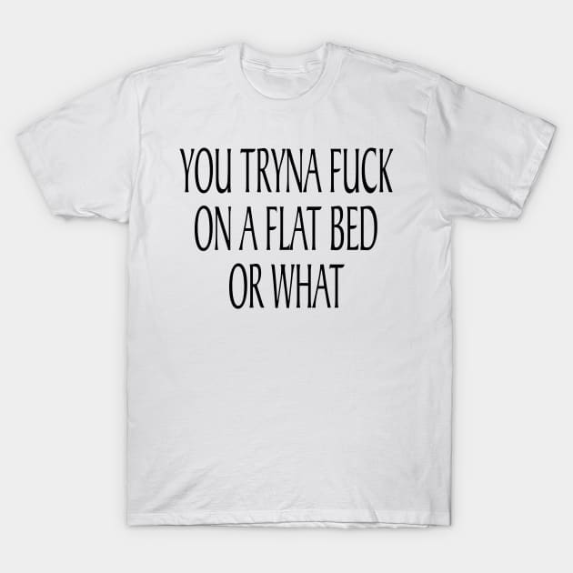 YOU TRYNA FUCK ON A FLAT BED OR WHAT T-Shirt by TheCosmicTradingPost